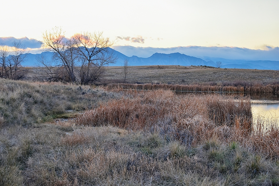 Field in Broomfield, CO. Medical Waste Pros medical waste disposal services in Broomfield, colorado